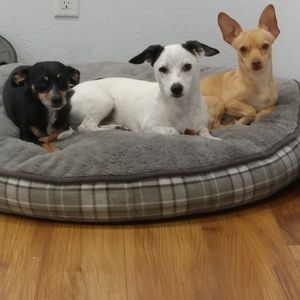 Meet your Posher, Benjamin